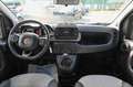 Fiat Panda Cross 1.0 FireFly S&S Hybrid Bianco - thumbnail 11