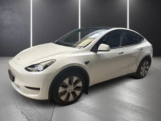 Tesla Model Y Basis RWD