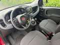 Fiat Panda 4x2 FireFly Hybrid 70 Rot - thumbnail 7