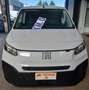 Fiat Doblo Doblò 1.5 BlueHdi 100CV PL-TN Van Bianco - thumbnail 1