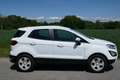 Ford EcoSport Business Weiß - thumbnail 3