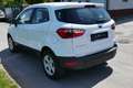 Ford EcoSport Business Weiß - thumbnail 6