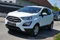 Ford EcoSport Business Weiß - thumbnail 7