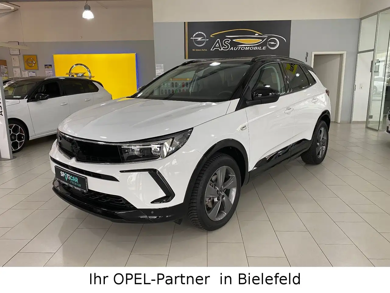 Opel Grandland X