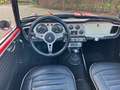 Triumph TR4 1961 Rot - thumbnail 11