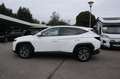 Hyundai TUCSON Tucson 1.6 T-GDI Trend Mild-Hybrid 2WD Navi/LM LED Weiß - thumbnail 4