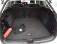 Volkswagen Golf VIII Variant 1,5 TSI Life ACC AHK Standheiz. LE... Weiß - thumbnail 5