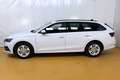 Skoda Octavia Combi 2,0 TDI Style DSG Weiß - thumbnail 3