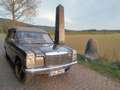 Mercedes-Benz W 114/115 Strich-Acht Leichenwagen, Hearse, Bestattungswagen Gris - thumbnail 9