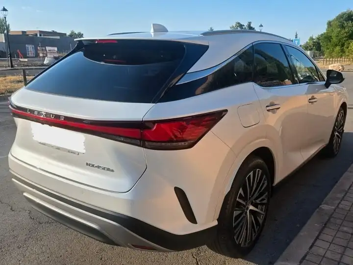 Lexus RX450h 2024, foto 7