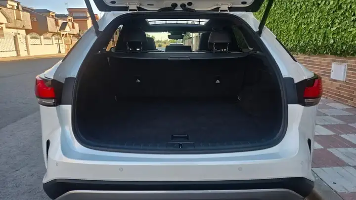 Lexus RX450h 2024, foto 8