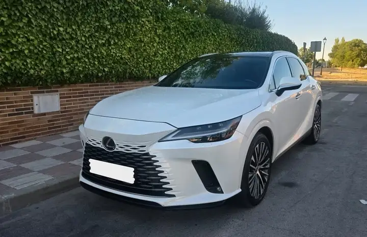 Lexus RX450h 2024, foto 2