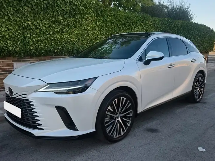 Lexus RX450h 2024, foto 3
