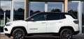 Jeep Compass 1.3 Turbo T4 150 CV aut. 2WD 80° Bianco - thumbnail 4