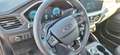 Ford Kuga Ford Kuga 2,5 FHEV Titanium Allrad Aut. Grau - thumbnail 9