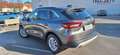 Ford Kuga Ford Kuga 2,5 FHEV Titanium Allrad Aut. Grau - thumbnail 4