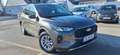 Ford Kuga Ford Kuga 2,5 FHEV Titanium Allrad Aut. Grau - thumbnail 2