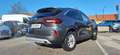 Ford Kuga Ford Kuga 2,5 FHEV Titanium Allrad Aut. Grau - thumbnail 3