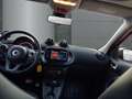 smart forFour 66 kW 1.0 Sportpaket Faltdach Navi Leder Klimaauto Rojo - thumbnail 10