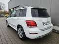 Mercedes-Benz GLK 220 GLK 220 CDI BlueTec 4Matic (204.997)AHK/Xenon/Navi Blanc - thumbnail 4