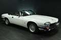 Jaguar XJS V12 5,3|2.Hd.|deutsch|66tkm|Scheckheft|Klima Weiß - thumbnail 7