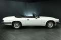 Jaguar XJS V12 5,3|2.Hd.|deutsch|66tkm|Scheckheft|Klima Weiß - thumbnail 12