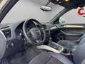 Audi Q5 2.0 TDI 170 CV quattro S tronic 7 vel. DPF Blanco - thumbnail 7