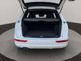 Audi Q5 2.0 TDI 170 CV quattro S tronic 7 vel. DPF Blanco - thumbnail 28
