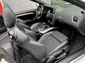 Audi A5 1.8 TFSI *Cabriolet *S-Line* GARANTIE 1AN *Full Blanc - thumbnail 8