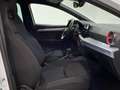SEAT Ibiza 1.5 TSI S&S FR Salta DSG 150 Blanco - thumbnail 5