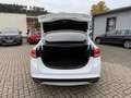 Ford Mondeo 2.0 TDCI Business Edition ERST: 55000KM Weiß - thumbnail 26