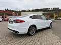 Ford Mondeo 2.0 TDCI Business Edition ERST: 55000KM Weiß - thumbnail 9