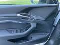 Audi Q8 e-tron 55 quattro S line  LED Weiß - thumbnail 14