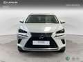 Lexus NX 350h SUV BUSINESS NAVIGATION 2WD 2.5 Híbrido Gasolina Weiß - thumbnail 5