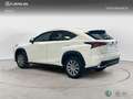 Lexus NX 350h SUV BUSINESS NAVIGATION 2WD 2.5 Híbrido Gasolina Weiß - thumbnail 2