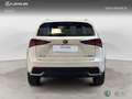 Lexus NX 350h SUV BUSINESS NAVIGATION 2WD 2.5 Híbrido Gasolina Weiß - thumbnail 4