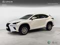 Lexus NX 350h SUV BUSINESS NAVIGATION 2WD 2.5 Híbrido Gasolina Weiß - thumbnail 1