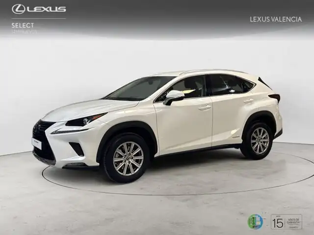 Lexus NX 350h SUV BUSINESS NAVIGATION 2WD 2.5 Híbrido Gasolina