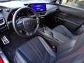 Lexus UX 300h 300h 4WD F-Sport Rojo - thumbnail 9