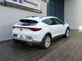 CUPRA Formentor 1.4 e-Hybrid Pano LED SoH 97% Blanc - thumbnail 6