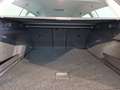 Volkswagen Passat Variant Business TDI Grigio - thumbnail 11