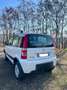 Fiat Panda 1.2 Climbing 4x4 - thumbnail 9