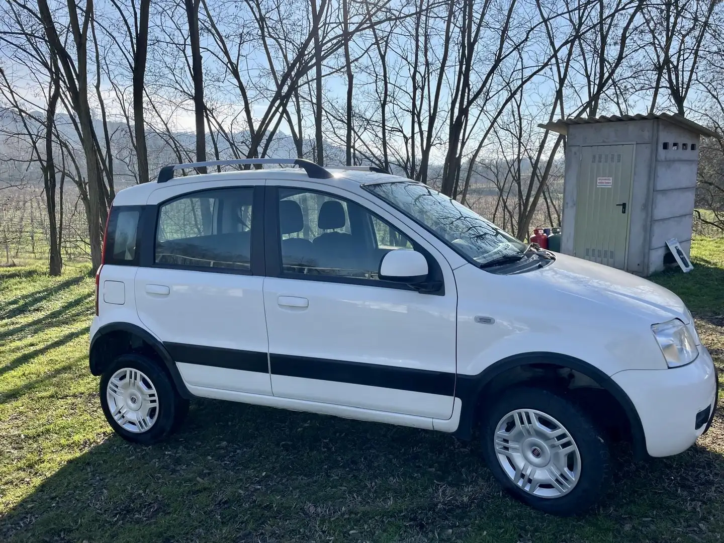 Fiat Panda 1.2 Climbing 4x4 - 2