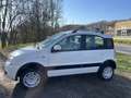 Fiat Panda 1.2 Climbing 4x4 - thumbnail 6