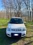 Fiat Panda 1.2 Climbing 4x4 - thumbnail 10