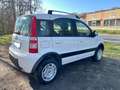 Fiat Panda 1.2 Climbing 4x4 - thumbnail 5