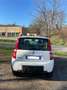 Fiat Panda 1.2 Climbing 4x4 - thumbnail 7