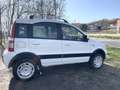 Fiat Panda 1.2 Climbing 4x4 - thumbnail 4