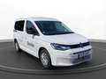 Volkswagen Caddy 2.0 TDI LED Sitzhzg. Full Link PDC Blanco - thumbnail 10