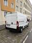 Citroen Jumper Citroen Jumper 2021 kw103 Weiß - thumbnail 3